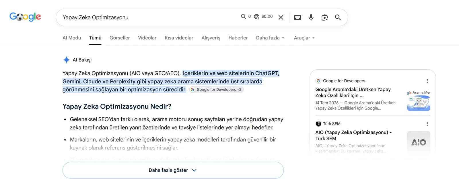 Google AI Bakışı, Yapay Zeka Optimizasyonu sorgusunda Google for Developers ile birlikte Türk SEM'in AIO sayfasını kaynak gösteriyor