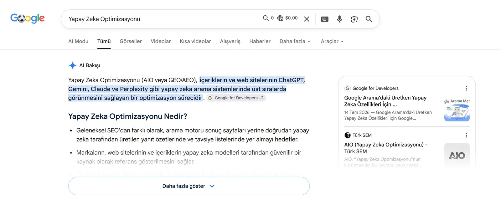 Googles Übersicht mit KI nennt neben Google for Developers auch die AIO-Seite von Türk SEM als Quelle