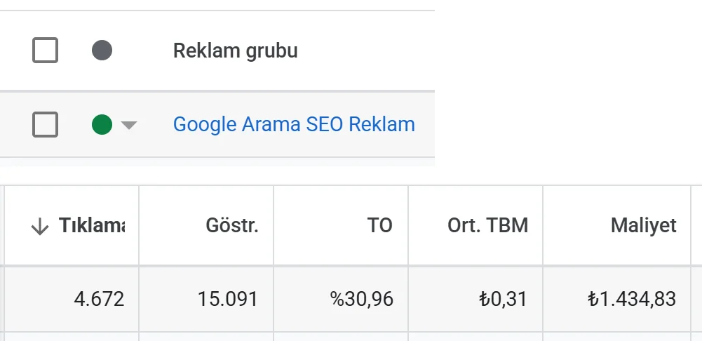 Google Ads reklam grubu: Google Arama SEO Reklam, 4.672 tıklama, 15.091 gösterim, yüzde 30,96 tıklama oranı, ortalama tıklama başı maliyet 0,31 TL, toplam maliyet 1.434,83 TL