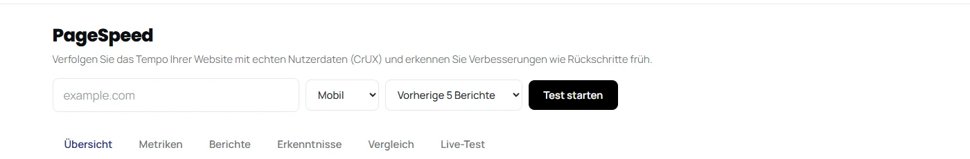 Startbildschirm des PageSpeed-Werkzeugs mit Adressfeld, Auswahl für Mobil oder Desktop und Bezugszeitraum